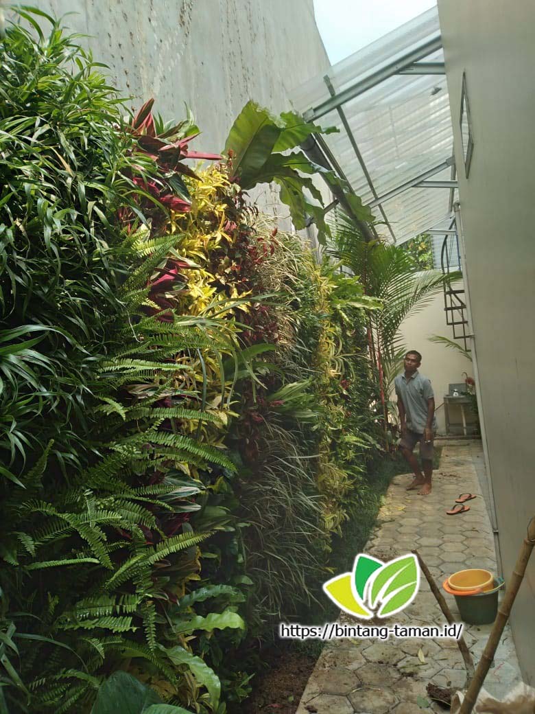 Jasa Pembuatan Taman Vertikal